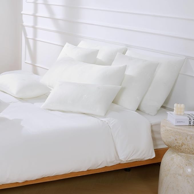 Ashler Throw Pillow Inserts 22 x 22 Inches Set of 4, Indoor Decorative Pillows, Soft and Firm Pillows with Air Layer, Square Cushion Sham Stuffer for Couch and Living Room