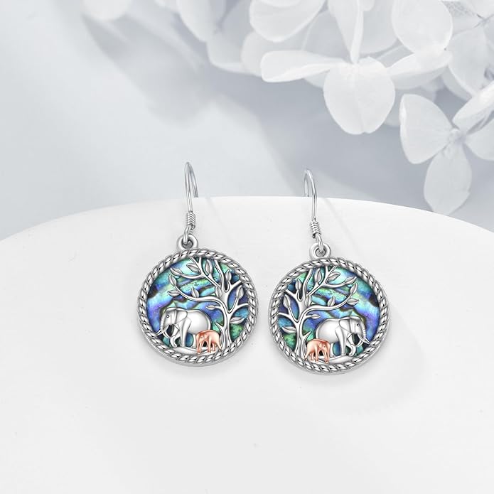 URONE 925 Sterling Silver Earrings Hook Dangle Earrings Jewelry Gifts for Women