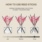 COCODOR Preserved Real Flower Reed Diffuser/Rose Perfume / 6.7oz(200ml) / 2 Pack/Reed Diffuser Set, Oil Diffuser & Reed Diffuser Sticks, Home Decor & Office Decor, Fragrance and Gifts