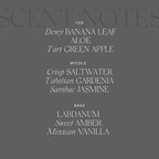 Antica Farmacista Home Ambiance Diffuser - Long-Lasting Reed Scent Diffuser - Luxury Room Freshener Gift - Lush Palm, 16.9 fl oz