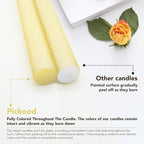 New Burning Formula Unscented Dripless 12-Inch Taper Candles Set of 12 - Ivory, for Wedding, Dinner - Smokeless, Long Burning - Hand Poured, Colored Tall Candlesticks - Marfil