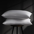 Goose Feather Down Pillow Standard Size Set of 2, Firm Hotel Collection Bed Pillows for Sleeping, 2 Pack, Down Surrounded Pillows for Side Sleepers 20 x 26 in.