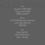 Antica Farmacista Home Ambiance Diffuser - Long-Lasting Reed Scent Diffuser - Luxury Room Freshener Gift - Lavender & Lime Blossom, 8.45 fl oz