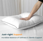 Luxurious Down Pillows - Standard Size, High Fill Power, Breathable Cotton Blend Shell,Down Pillow Ideal for Every Night (Off White, Queen (Pack of 1))