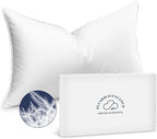White Goose Down Pillow - Luxury Hotel Bed Pillow with 100% Natural 1000+ Fill Power Goose Feather Down Pillow for Sleeping, 700TC Cotton Shell, Standard Size- Soft, 1 Pack