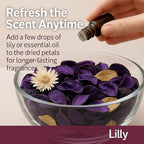 Lily Scented Potpourri Bags – 2 Large Packs, 8.4 oz Total – Dried Petals & Botanicals for Bowls & Vases – Long-Lasting Aroma for Home Décor, Office, Bathroom, Gift Use