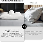 Shilucheng Goose Down Pillow Standard Size Set of 2 Pack,750+ Fill Power Luxury Hotel Quality Bed Feather Pillow for Side Back Stomach Sleepers, Soft 100% Cotton Shell（White,20" x 26"）