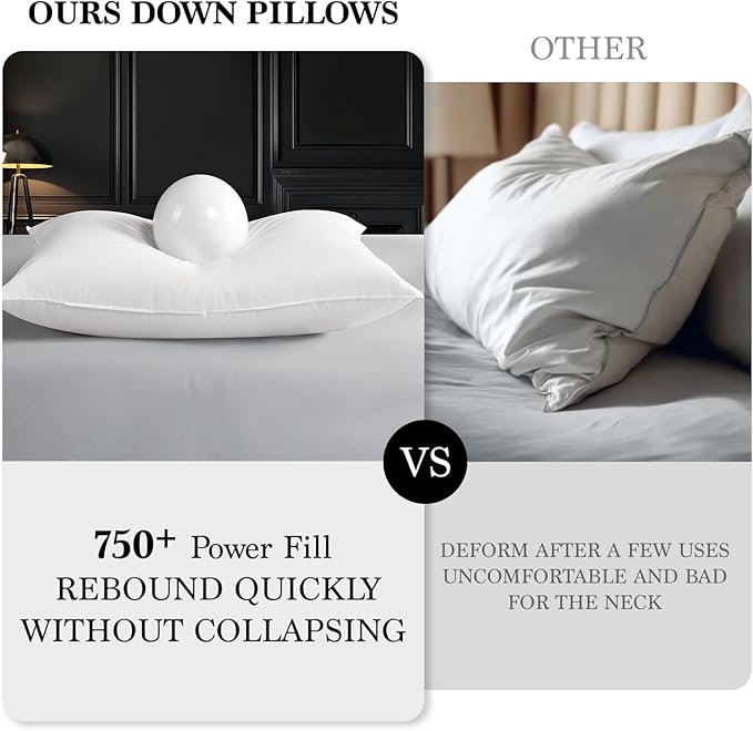 Shilucheng Goose Down Pillow Standard Size Set of 2 Pack,750+ Fill Power Luxury Hotel Quality Bed Feather Pillow for Side Back Stomach Sleepers, Soft 100% Cotton Shell（White,20" x 26"）