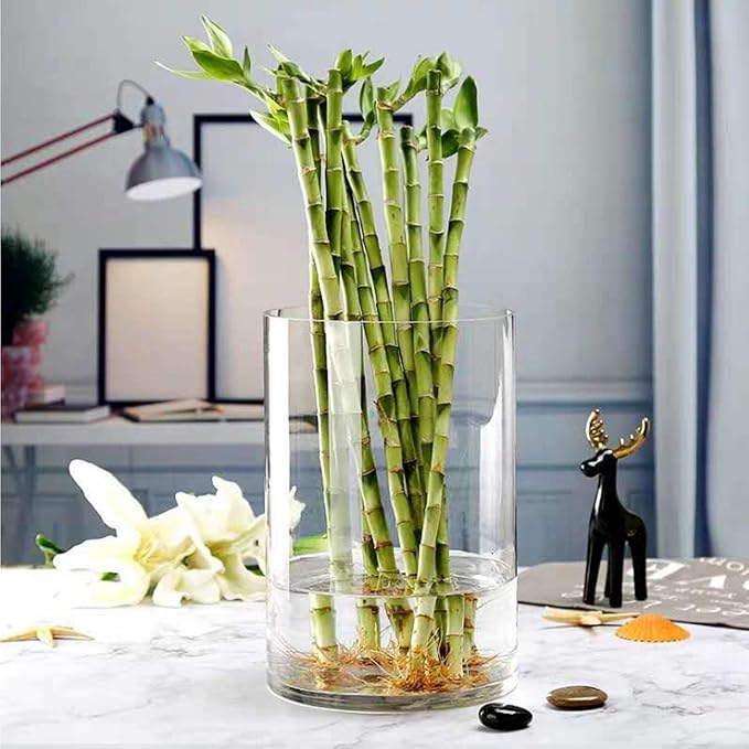 WGV Cylinder Vase, Width 9", Height 12", Clear Wide Large Diameter Flower Glassware, Floral Container, Planter Terrarium for Wedding Party Event, Home Accent Decor, 1 Piece