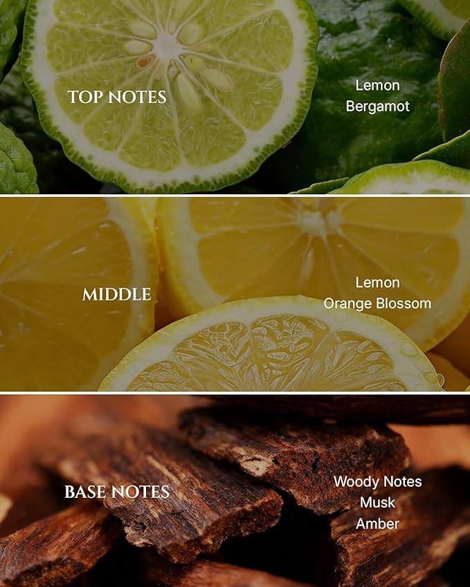 Aromadd Citrus Hotel Diffuser Oil Inspired by Luxury Hotel Scent, Essential Oils for Waterless Diffuser, Luxury Lemon & Bergamot, Long-Lasting & Natural Home Fragrance - 3.38 fl oz (100 mL)