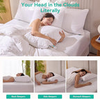 Three Geese White Goose Feather Down Pillows King Size(20x36inches) 2 Pack- 100% Cotton, Medium Firm,Soft Support
