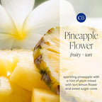 Capri Blue Pineapple Flower Reed Diffuser Set - Includes Reed Diffuser Sticks, Fragrance Oil, and Glass Bottle - Luxury Scented Room Fresheners - Cobalt Blue (8 fl oz)