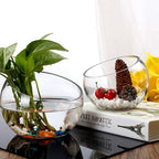 WGV Slant Cut Bowl Glass Vase, Width 9", Height 8.25", Clear Terrarium, Candy Dish, Fruit Jar, Floral Container for Wedding Party Event, Home Office Decor, 1 Piece