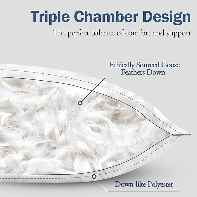 BPC Luxury Goose Feather Down Bed Pillows King Size Set of 2, Hotel Feather Pillows for Sleeping, 100% Organic Cotton Cover, Fluffy and Soft Support Surround Fill Polyester, Medium Firm, 20"x36"