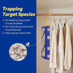 Clothes Moth Traps with Powerful Pheromones, Natural & Odor-Free Sticky Moth Traps for Clothes & Closets, Refillable 6-Pack
