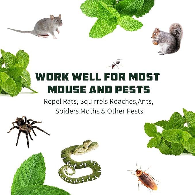 Mouse Repellent for Home and Garden Protection to Mouse, Squirrels, Roaches, Ants, Spiders, Moths and Other Pests