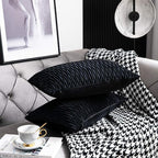 Black Striped Decorative Pillow Covers: 2 Pack 12x20 Inch Original Velvet Rectangular Throw Pillow Cases for Farmhouse Couch