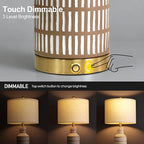 25" Modern 3-Way Dimmable Touch Control with USB A+C Ceramic Lamps Set of 2 Table Lamp for Living Room Bedroom Farmhouse Nightstand Bedside Brown