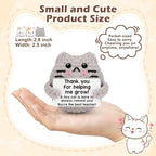 Teacher Appreciation Gifts for Women Cat Lover,Positive Crochet Animal for Teachers Mentors Coachs from Student, Emotional Crochet Support Cat