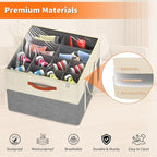 Aokeyee 2 Pack Shoe Organizer for Closet, Foldable Shoe Storage Organizer Box w/Clear Cover and Reinforced Handles, Space Saving Shoes Bin Fits up to 32 Pairs, Beige and Grey