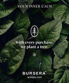 Bursera Onyx Ceramic Bowl, Tree Planted with Every Order, Decorative Bowl with Side Slot for Matches, Smudging Burn Bowl for Sage, Palo Santo, Matchstick Holder, Form for Candles
