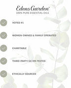 Edens Garden Hot Chocolate Hugs Essential Oil Blend- 100% Pure Premium Grade, Undiluted, Natural, Therapeutic, Aromatherapy, The Best for Diffusing, Candle, Laundry, Humidifiers 10 ml (.33 fl oz)