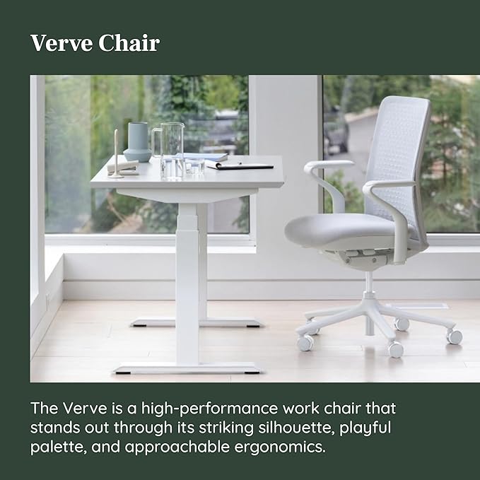 Branch Verve Chair - High Performance Executive Office Chair with Contoured Back and Adjustable Lumbar Support - High Density Foam Cushion and 3D Knit Back - Fits 5' to 6', Up to 275 lbs, Mist