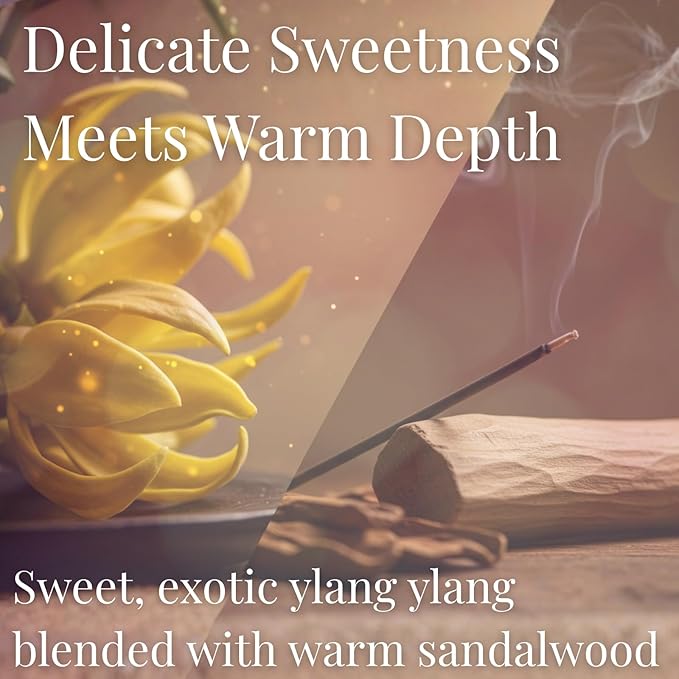 Ylang Ylang Luxury Japanese Incense Sticks 60sticks Coreless Low Smoke Natural Charcoal Free Non Toxic Aromatherapy Meditation Calming Stress Relief Relaxation Yoga TOMORI
