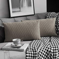 Tan Throw Pillow Cases 12x20: 2 Pack 12x20 Inch Original Striped Velvet Rectangular Decorative Pillow Covers for Farmhouse Couch