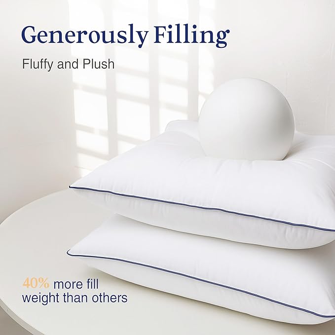 puredown® 20x20 Pillow Inserts Set of 2, Overfilled Down Alternative Decorative Pillows with 100% Cotton Cover, Plush Fluffy Throw Pillows for Couch, Sofa, Bed and Home Decor