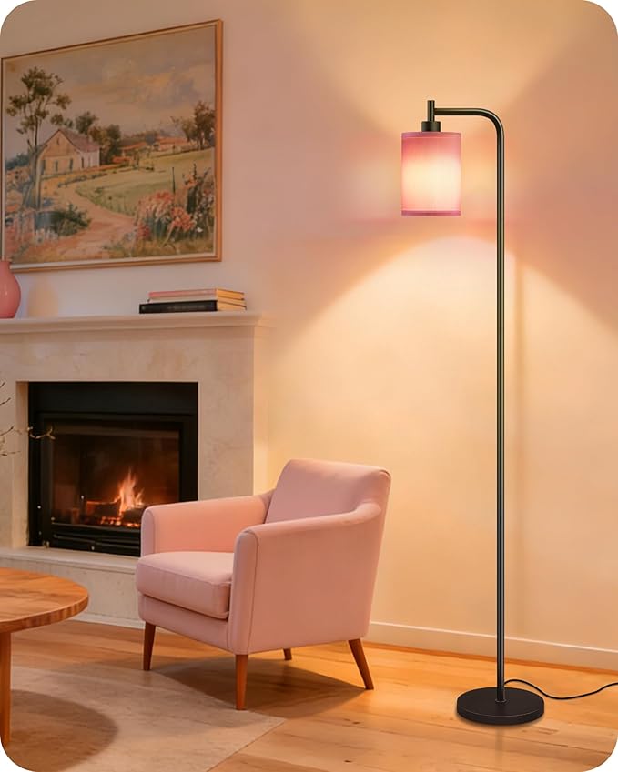 Dimmable Floor Lamp for Living Room with Remote and Foot Switch, Modern Standing, Corner Lamp,10W Bulb 3 Color Temperatures, for Bedroom, Office, Corner, ETL Listed, Black and Pink P19LD05