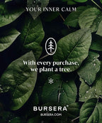 Bursera Black Marble Incense Holder, Tree Planted with Every Order, Italian Carrara Black Marble Tray Incense Burner, Home and Desk Incense Stick Holder and Modern Decor