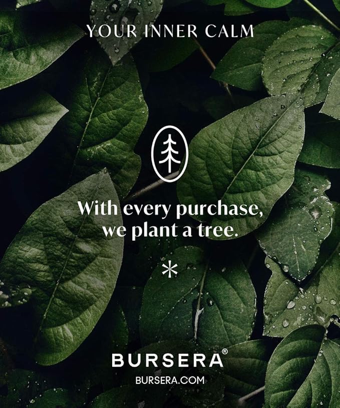 Bursera Terracotta Ceramic Bowl, Tree Planted with Every Order, Decorative Bowl with Side Slot for Matches, Smudging Burn Bowl for White Sage, Palo Santo, Matchstick Holder, Form for Candles