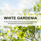 ROSE COTTAGE Large 12 Packs White Gardenia Hanging Closet Deodorizer Air Freshener Long Lasting Scented Sachets Smell Goods for House