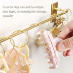 SNOWSTAR Metal Claw Clip Organizer Holder, Hair Clip Holder and Storage for Women and Girl,Claw Clips Hanger Display Hair Accessories for Wall Door Closet,Gold(1PCS)