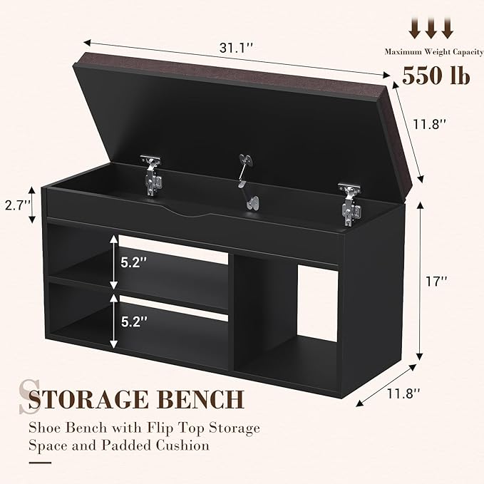 Apicizon Entryway Bench with Shoe Storage, Black, 2-Tier Shoe Rack, Padded Cushion, Wooden Frame