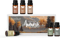 JCLOUD Fall Essential Oils for Diffusers for Home, Autumn Scented Fragrance Oils Gift Set, Incl. Black Vanilla, Cinnamon & Santal Aromatherapy Diffuser Oils - Spicy, Woody & Oriental Scents, 6 * 10mL