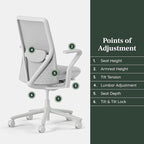 Branch Verve Chair - High Performance Executive Office Chair with Contoured Back and Adjustable Lumbar Support - High Density Foam Cushion and 3D Knit Back - Fits 5' to 6', Up to 275 lbs, Mist
