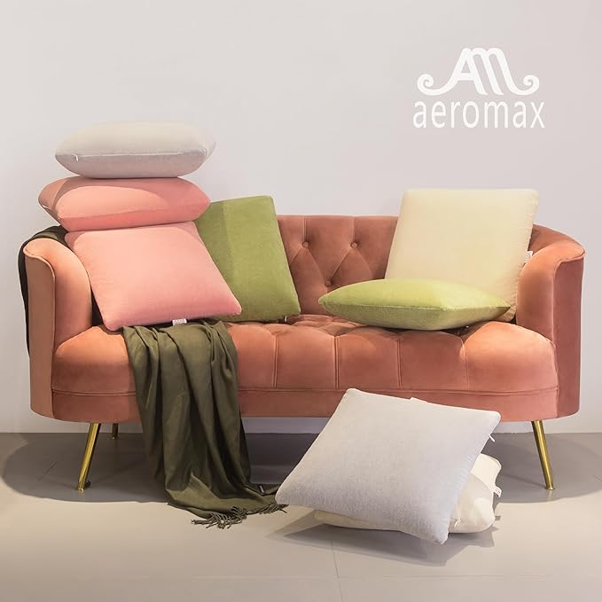 AM AEROMAX 18 × 18 Throw Pillow (Pack of 4) Memory Foam Pillow Insert - Square Accent Pillow for Decorative Cushion Bed Couch Sofa - Non-Deforming Over Time