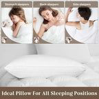Bafode Goose Down Feather Pillows, Soft Bed Pillows Queen Size Set of 2, 100% Soft Cotton Shell,Gusseted Hotel Pillows for Back, Stomach or Side Sleepers