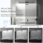 Ralbay Modern Black Bathroom Light Fixtures 5 Color Temperature Dimmable 31.5inch 30W Acrylic LED Black Bathroom Vanity Lighting Fixtures Over Mirror