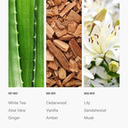 Dream on Essential Oil Scent 500mL - Luxury Home Aromatherapy Diffuser Oil - Formulated with Hints of Bright White Tea, Sweet Vanilla, & Earthy Cedar - Inspired by One Hotel Miami Beach