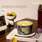HomeLights Soy Wax Candles for Home Scented, 4-Wick Candles in Sandalwood Jasmine Scented, Industrial Chic Aromatherapy Candles Gift for Parties, Relaxing, 18oz