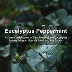 ROSE COTTAGE Large 12 Packs Eucalyptus Peppermint Hanging Closet Air Freshener Scented Sachets Long Lasting Smell Goods