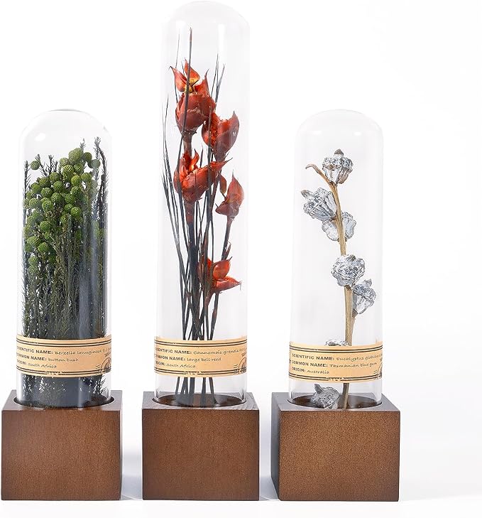 3Pcs Dried Flower Decor,Knick Knacks for Shelves,Cool Stuff for Bookshelf,Small Plants Decor for Office Shelves,Natural Green Plants Boho Shelf Decor,Apothecary Decor,Unique Gifts for Women,Friends