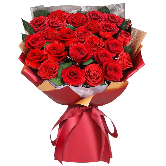 ADDWel 24 Pcs Preserved Real Red Roses, Two Dozen Long Lasting Forever Flowers, Valentine's Day Gifts for Wife Girlfriend Mom, Romantic Anniversary Birthday Gift, Unique Luxury Bouquet for Delivery