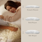 Memory Foam Pillows for Sleeping Adjustable Breathable Bed Pillow for Side, Back, and Stomach Sleepers Washable Pillow Cover Cloud Nest Queen Size 18X28IN