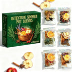 Intention Simmer Pot Blends, Reiki-Infused Simmer Pot for Stove Potpourri Mix, for Intentional Home Ambience, Cozy Home Ritual Spaces & Mindful Living (6-Pack)