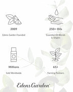 Edens Garden Hot Chocolate Hugs Essential Oil Blend- 100% Pure Premium Grade, Undiluted, Natural, Therapeutic, Aromatherapy, The Best for Diffusing, Candle, Laundry, Humidifiers 10 ml (.33 fl oz)