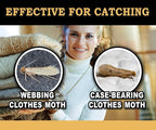 MaxGuard Clothes Moth Traps (12+2 Free Traps) Extra Strength Pheromones | Non-Toxic Sticky Glue Trap for Closets and Carpet Moths | No Mothballs | Lure, Trap and Kill Case-Bearing Webbing Moths |